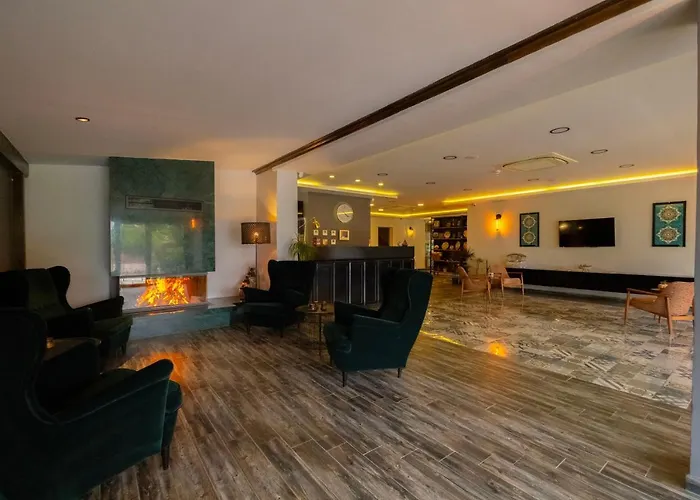 Hotel Eleia Iznik Bursa